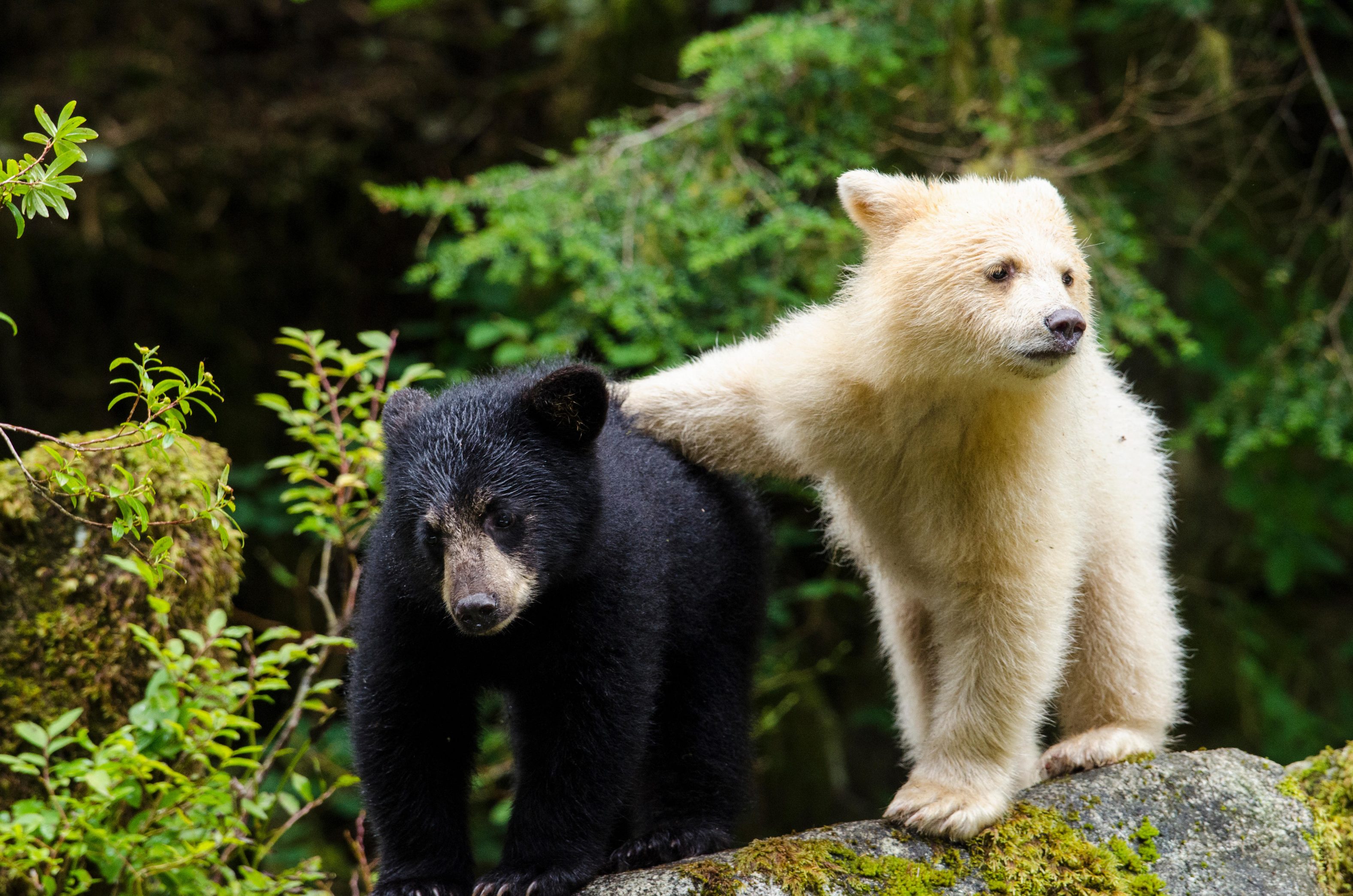 K8·凯发(中国)天生赢家·一触即发